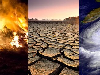 Impact of Climate Change on Human Health