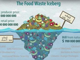 Be a Zero Hunger Hero: Don’t waste food