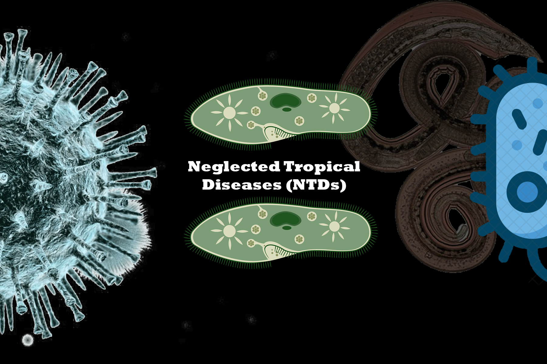 Неглект. Neglected Tropical diseases. Tropical diseases list. Tropism of viruses.