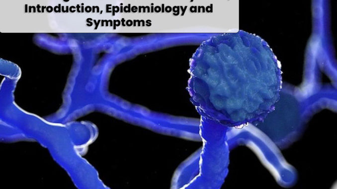 Black fungus disease: Mucormycosis, Introduction, Epidemiology and Symptoms